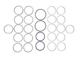 77520 Seal Kit, Swivel | Genie