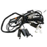 126P236530 Cable Bundle | Genuine Haulotte