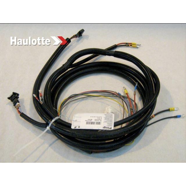 128C157900 Cable Bundle Engine | Genuine Haulotte