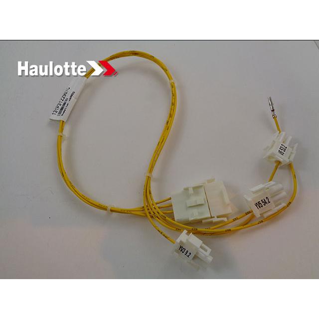131P312290 Bundle | Genuine Haulotte