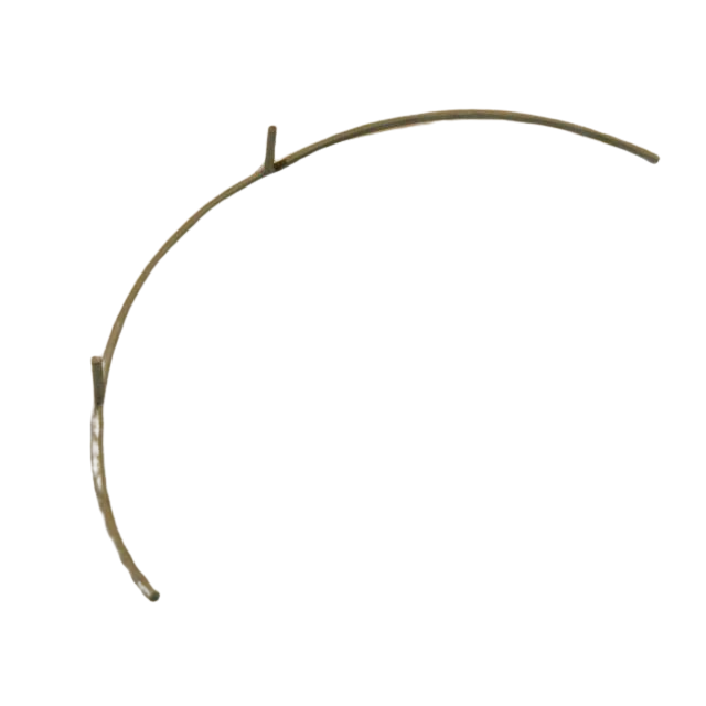 153B157380 Protection | Genuine Haulotte