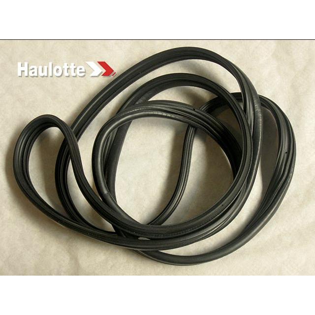 187P247300 Seal | Genuine Haulotte