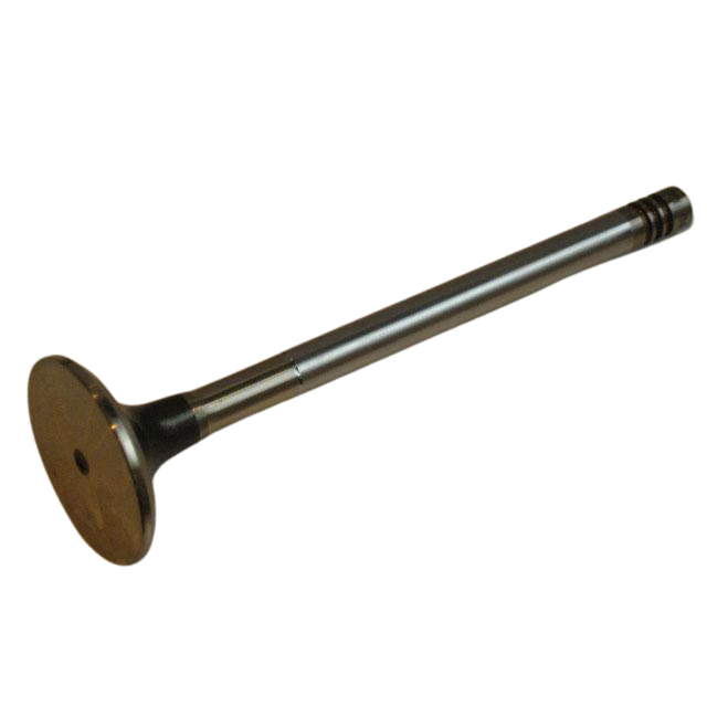 2324001980 Exhaust Valve | Genuine Haulotte