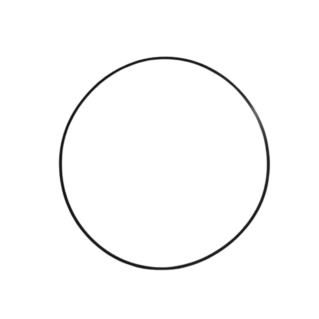 2420211740 Ring | Genuine Haulotte