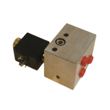 2420212780 Cylinder Block | Genuine Haulotte