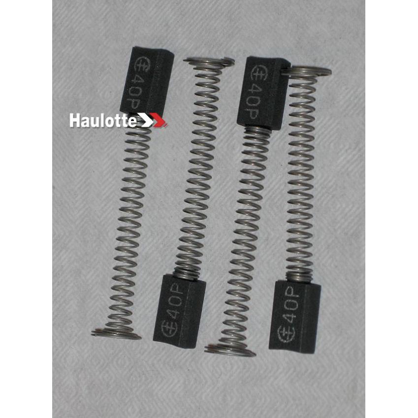 2420317430 Pack Of 4 Dynamo Carbons | Genuine Haulotte