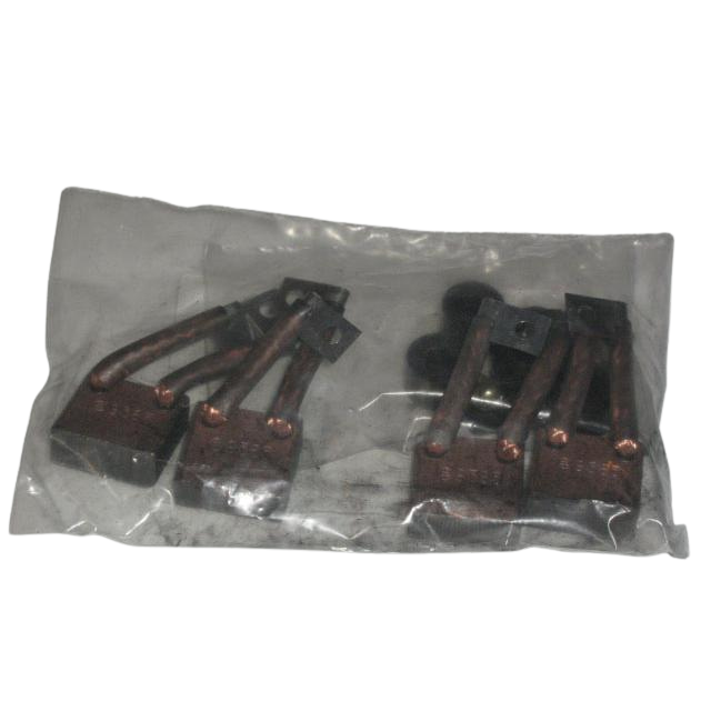 2420317470 Set Of Carbons For Motor | Genuine Haulotte