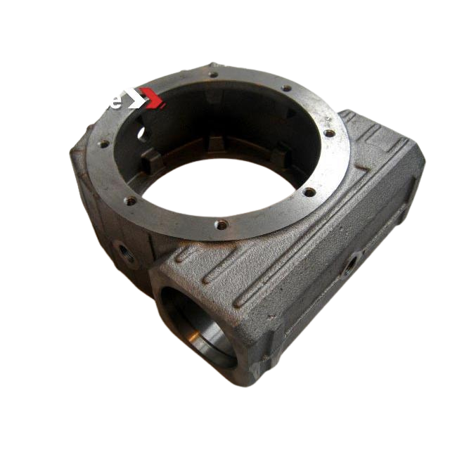 2420322270 Casing | Genuine Haulotte