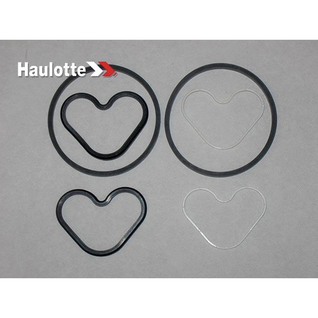 2421003390 Set Of Seals For Unit | Genuine Haulotte