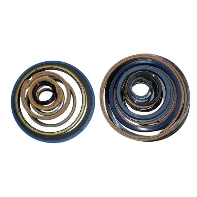 2421607850 Pack/Telescope Seals H10M | Genuine Haulotte