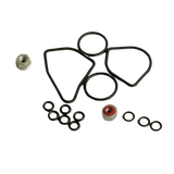 2421610810 Seals Kit | Genuine Haulotte