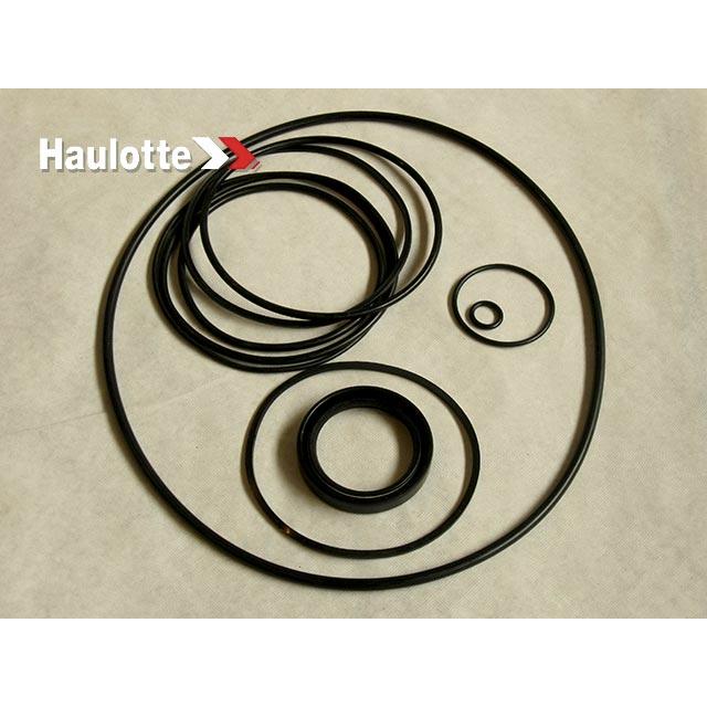 2421692460 Pack/Reducer Seals Cwd201 | Genuine Haulotte