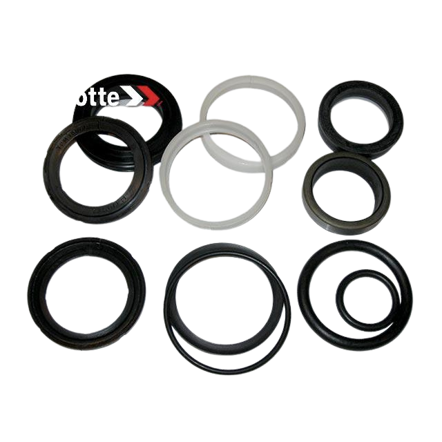 2421693120 Pack Of Cylinder Seals | Genuine Haulotte