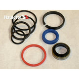 2421693770 Pack Of Cylinder Seals | Genuine Haulotte