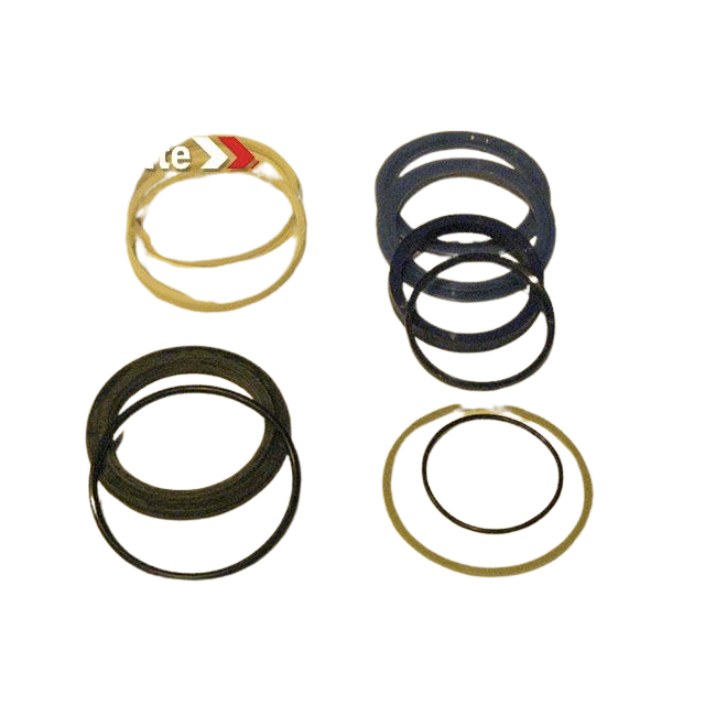 2421693920 Seals Kit | Genuine Haulotte
