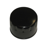 2427002400 Oil Filter Cartridge | Genuine Haulotte