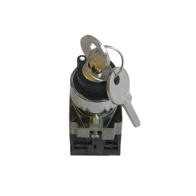 2440206010 Rotary Knob With Key | Genuine Haulotte