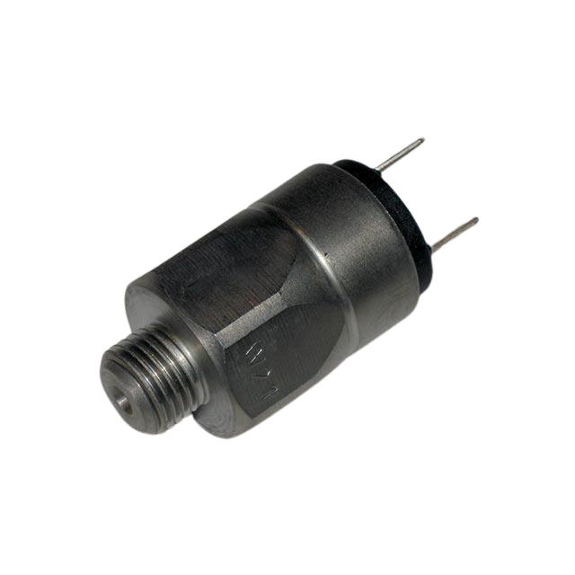 2441303610 Open Tare Pressure Controller | Genuine Haulotte