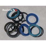 2504000080 Seals Kit | Genuine Haulotte