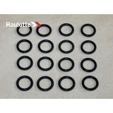 2505001200 Seal | Genuine Haulotte