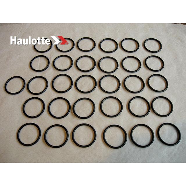 2505001250 Seal | Genuine Haulotte