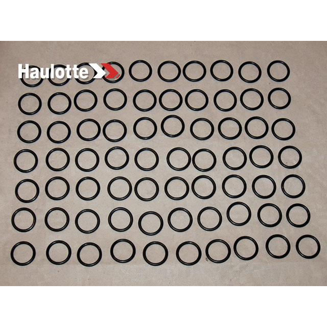 2505001300 Seal | Genuine Haulotte