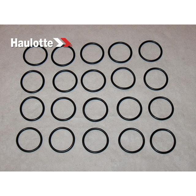 2505001320 Seal | Genuine Haulotte