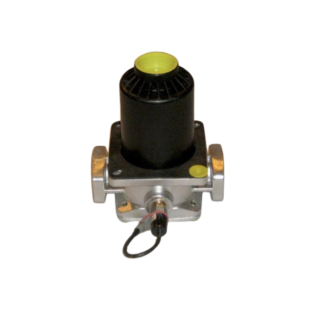 2505001930 Return Filter | Genuine Haulotte