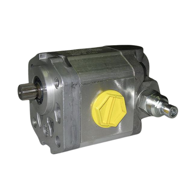 2505001960 Auxiliary Pump | Genuine Haulotte