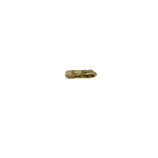 2820304740 Lamp | Genuine Haulotte