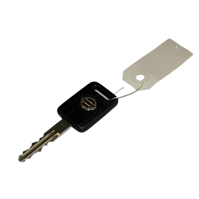 2820307840 Microchip Key | Genuine Haulotte