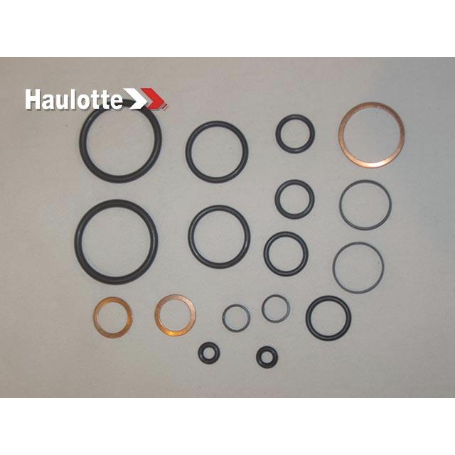 4000046550 Seal Kit | Genuine Haulotte