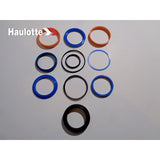 4000049210 Seal Kit Version 2 (See Desc2) | Genuine Haulotte