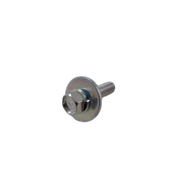 4000210750 Special Screws | Genuine Haulotte