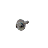 4000210750 Special Screws | Genuine Haulotte