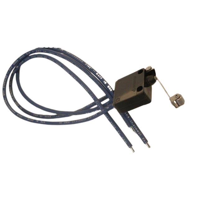 B01-02-0117 Switch-Snap Action W/Roller | Genuine Haulotte