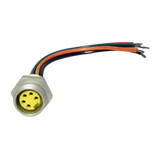 B01-10-0043 5Cond Female Recep W/6Inlead | Genuine Haulotte