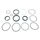 B02-13-0162 Seal Kit For A-02551 | Genuine Haulotte