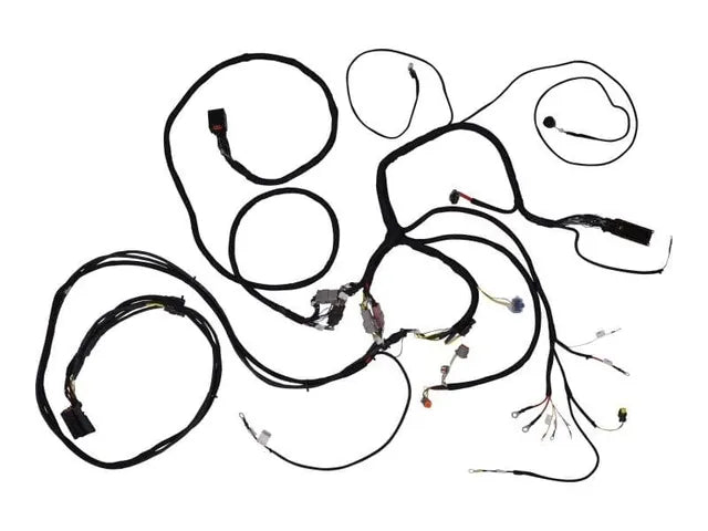 1001138346 DEUTZ 2.9 T4F ENGINE HARNESS | JLG
