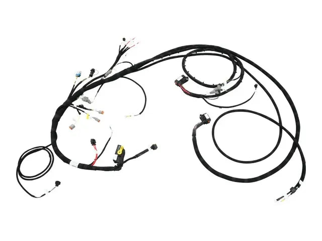 1001276646 DEUTZ TD2.9 S V ENGINE HARNESS | JLG