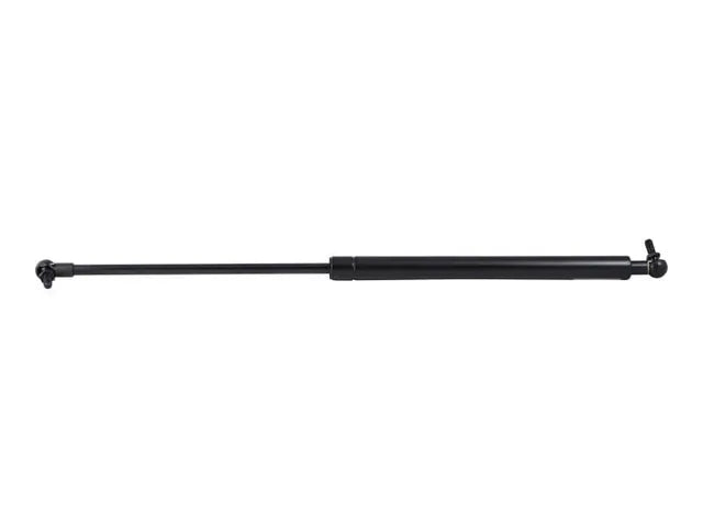 4160194 GAS SPRING | JLG