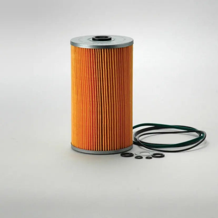 P550379DFS Lube Filter Cartridge | Genuine Genie