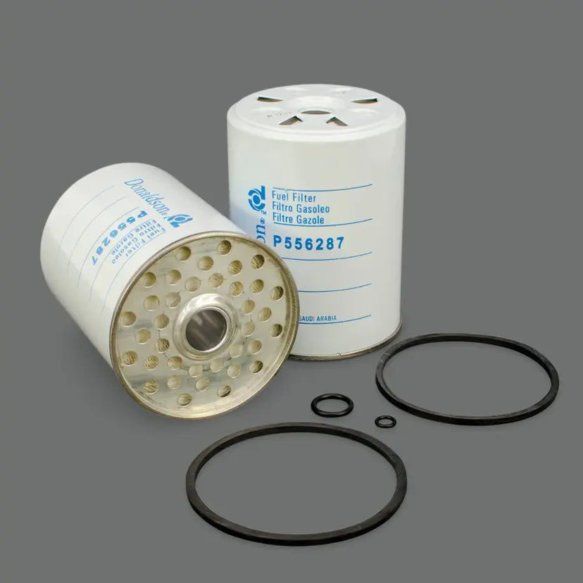 P556287DFS Fuel Filter Cartridge | Genuine Genie