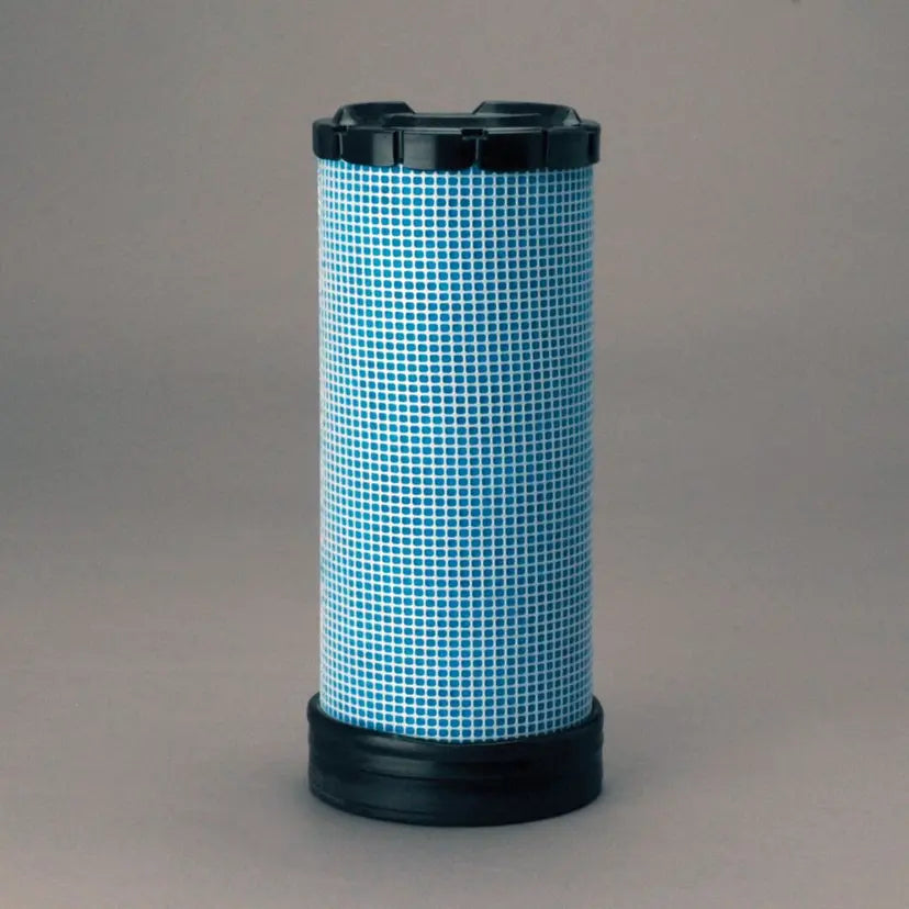 P606715DFS Air Filter Safety | Genuine Genie