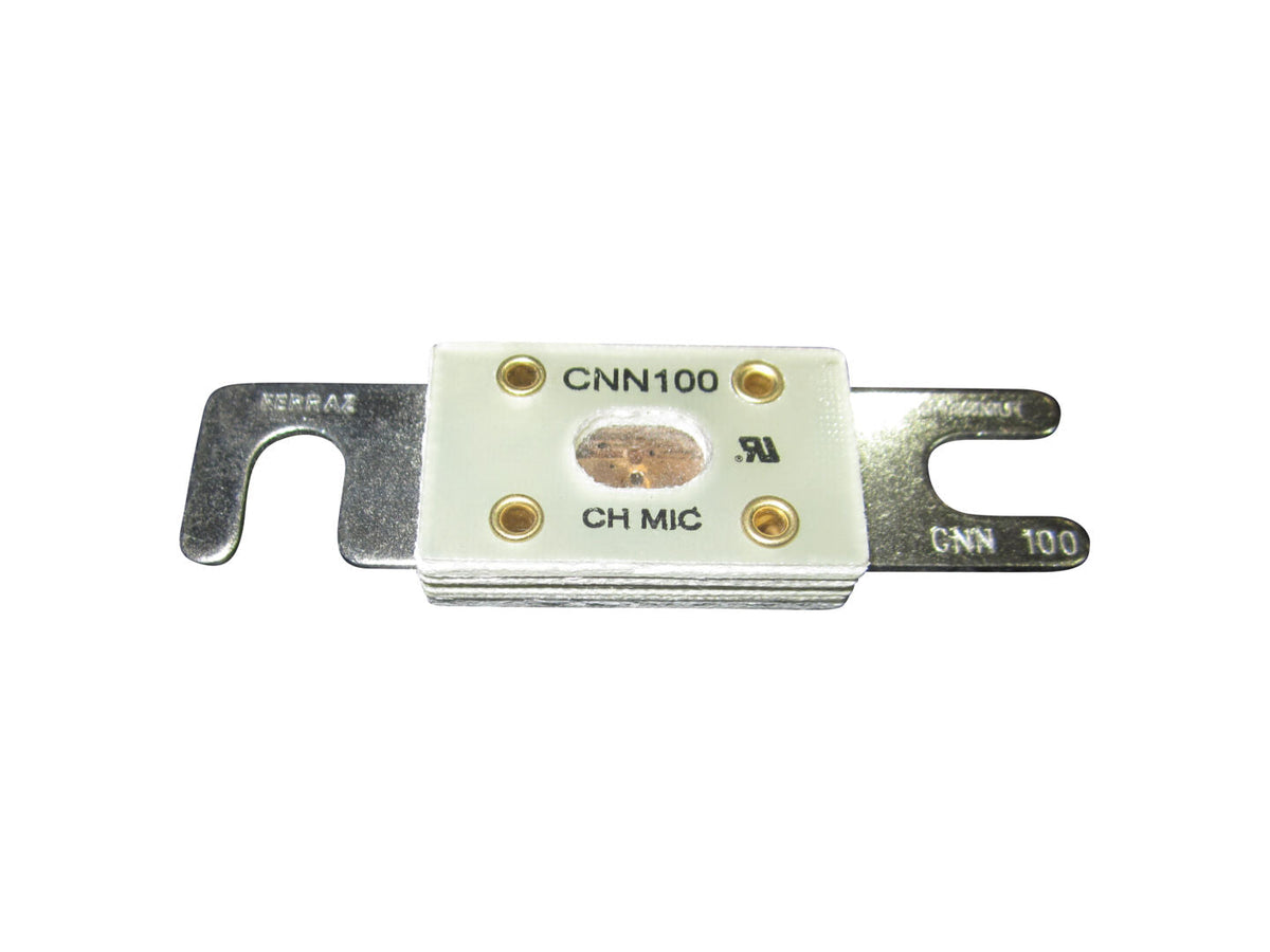 146442 Fuse, 100 Amp | Skyjack