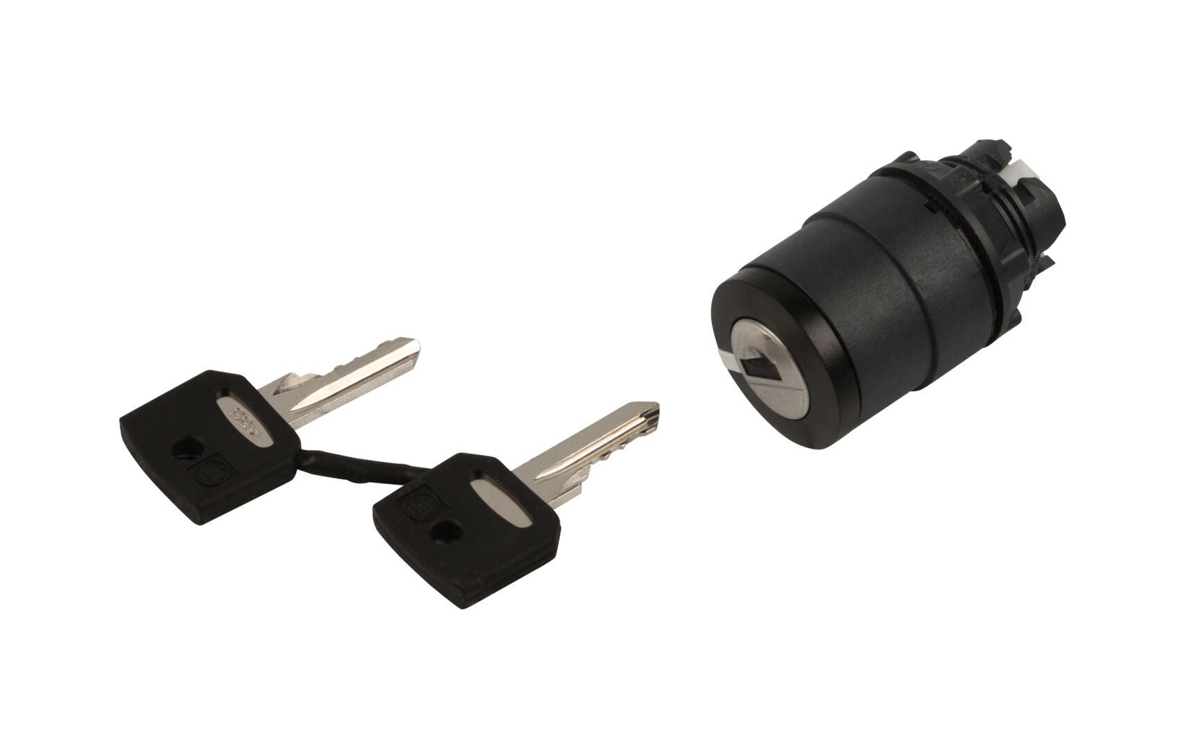 149536 Key Switch | Skyjack